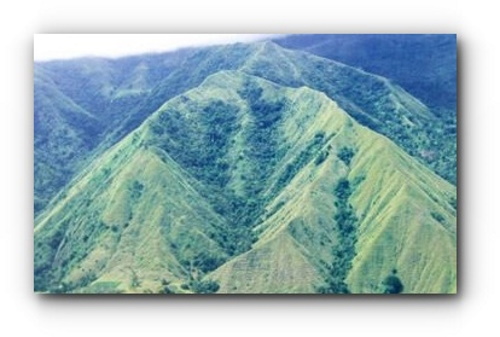 Celebes