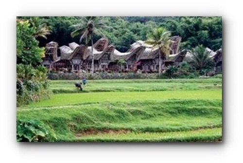 Sulawesi 1