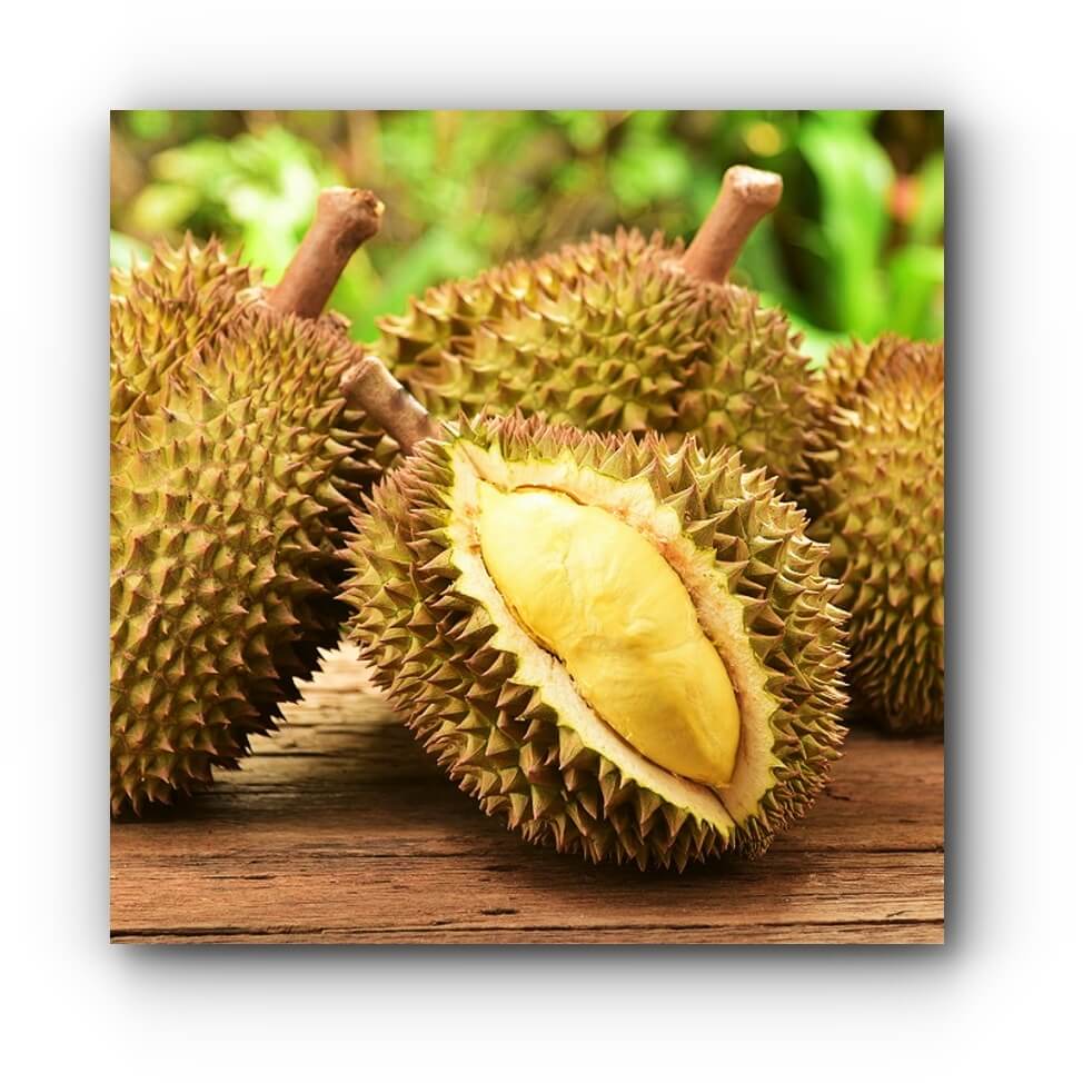 Indonesische durian