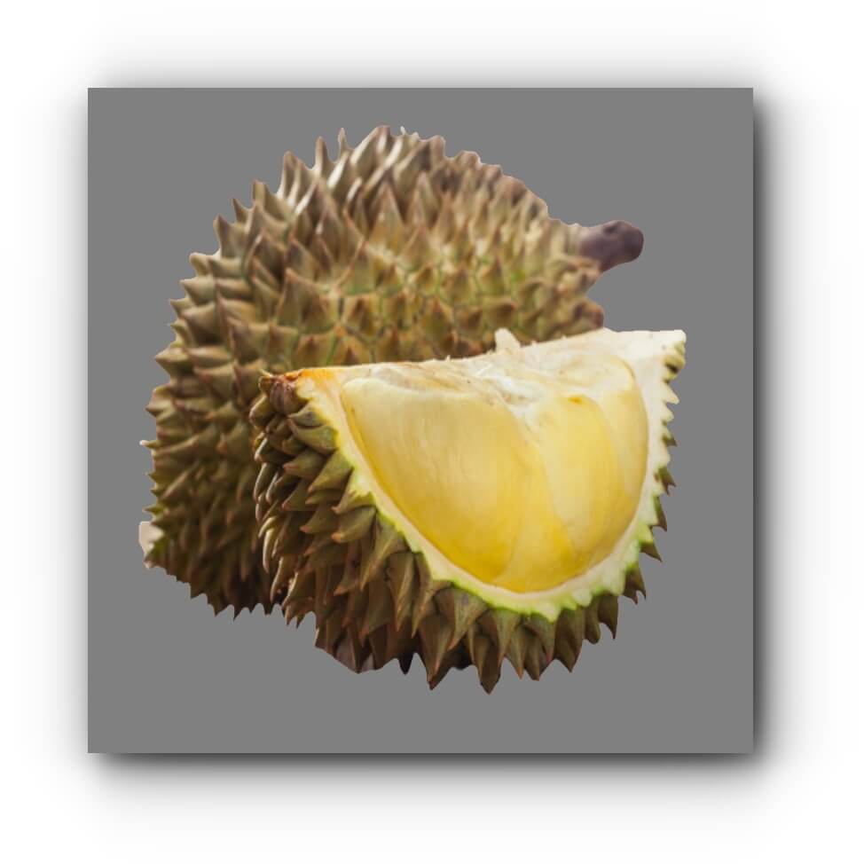 durian b